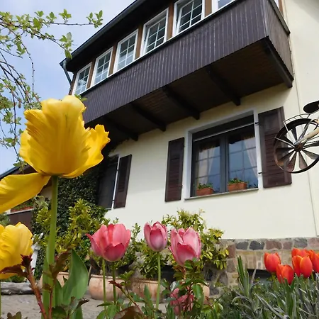 Guest house Wiesenhof 3*