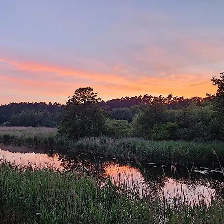 Guest house Wiesenhof 3*