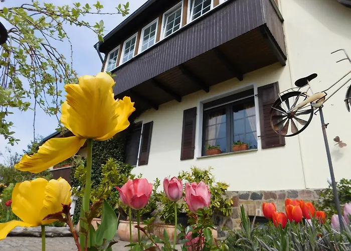 Pensionat Wiesenhof 3*