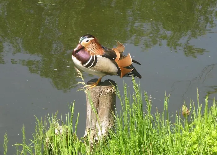 Wiesenhof Pensionat Templin